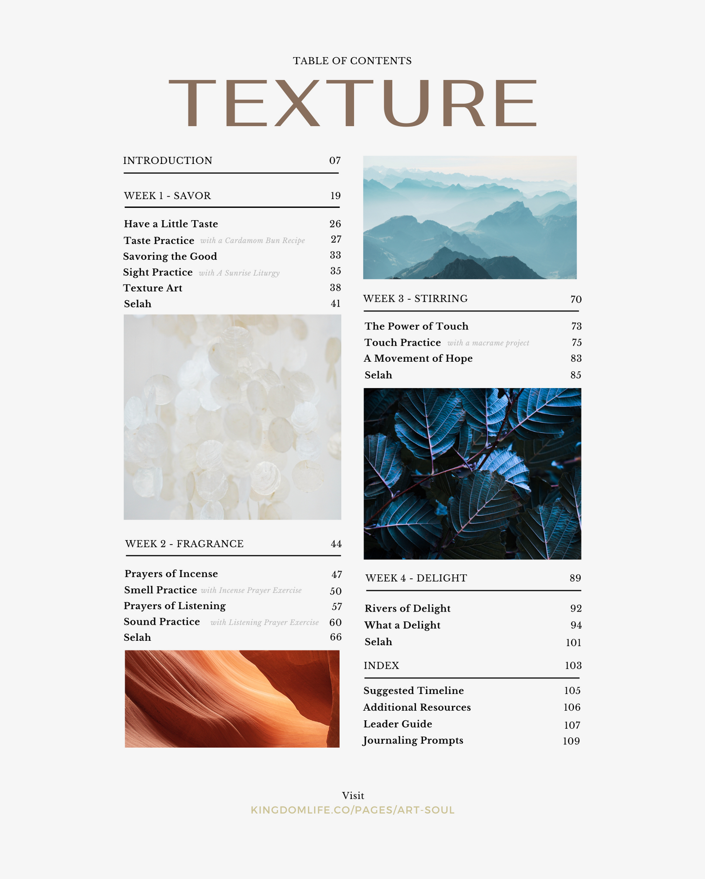 Texture Project Box (Book Included!)